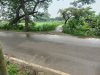 ভাকুর্তায় জমি বিক্রয়